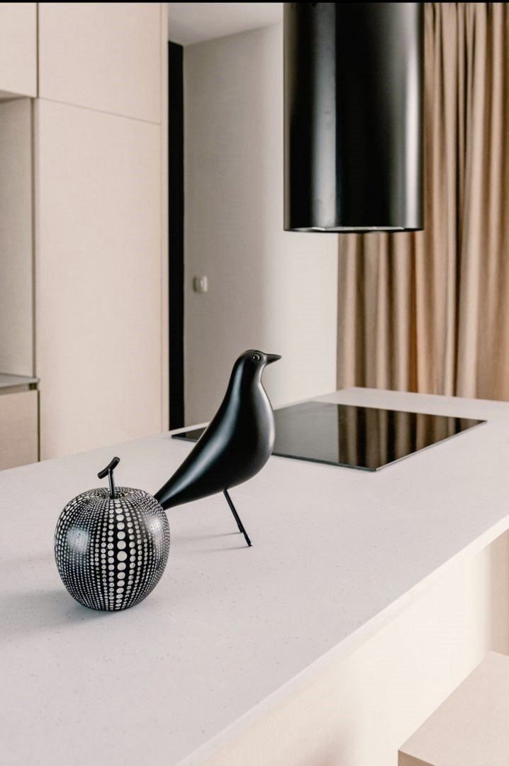 Дизайнерска вила с басейн и сауна на 350 м от морето, Шибеник