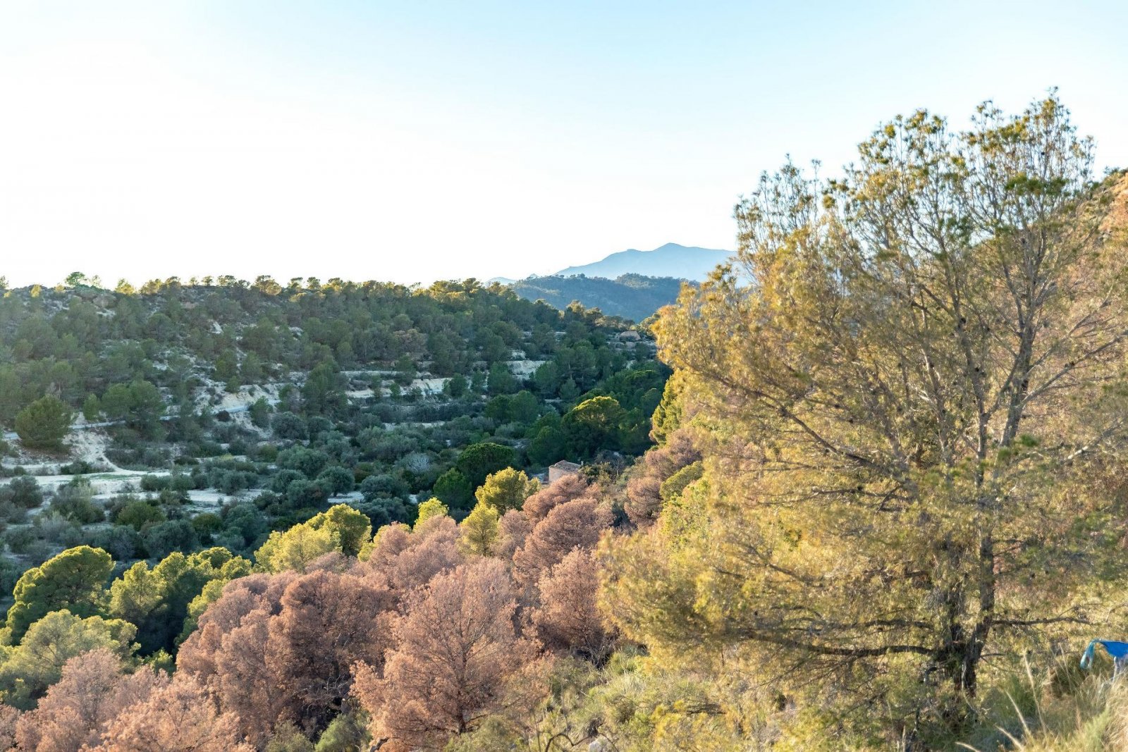 Стилен апартамент с тераса край голф игрището и морето – Финестрат
