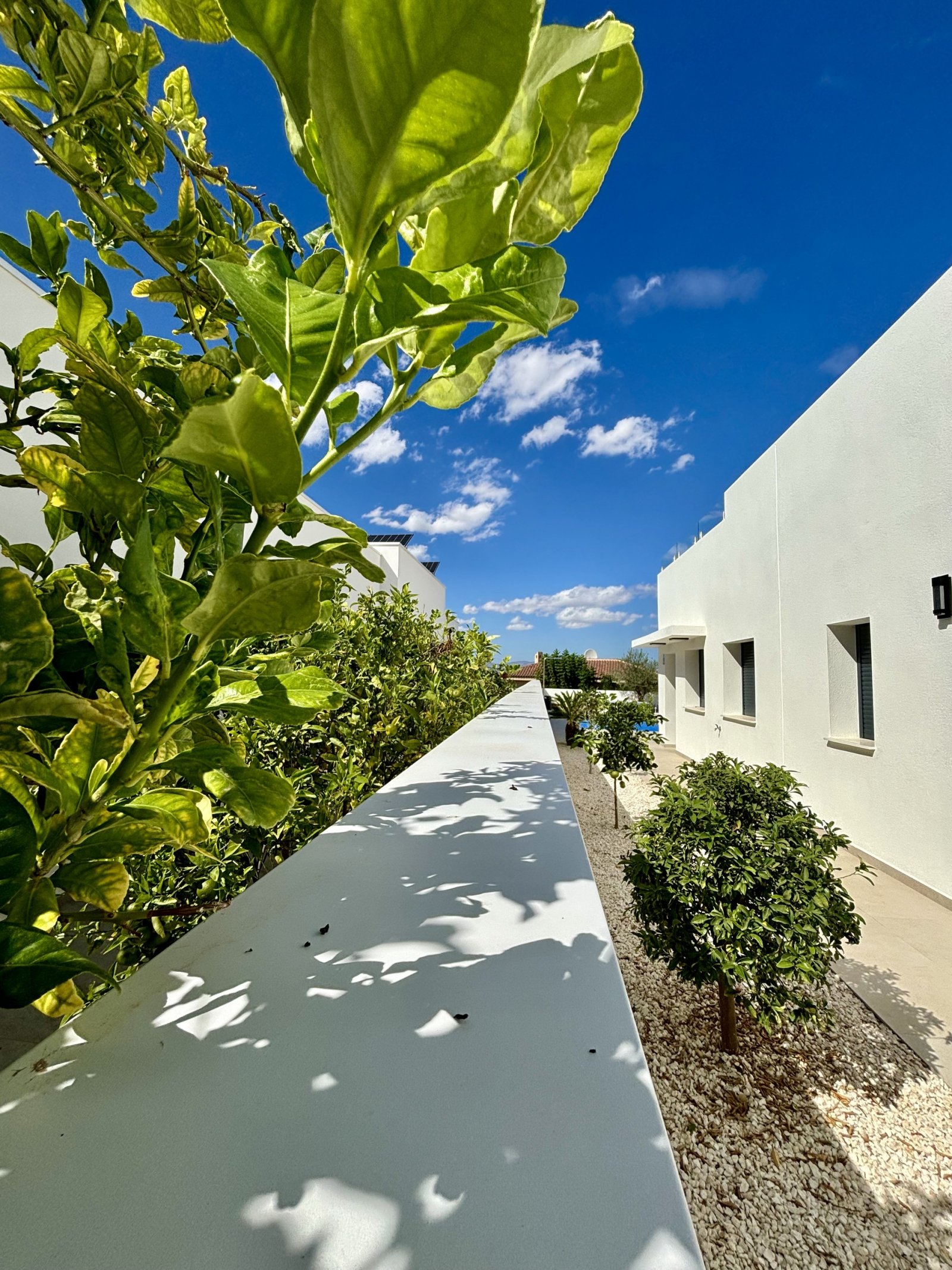 Ексклузивни самостоятелни къщи, частен басейн и градина, Бенихофар