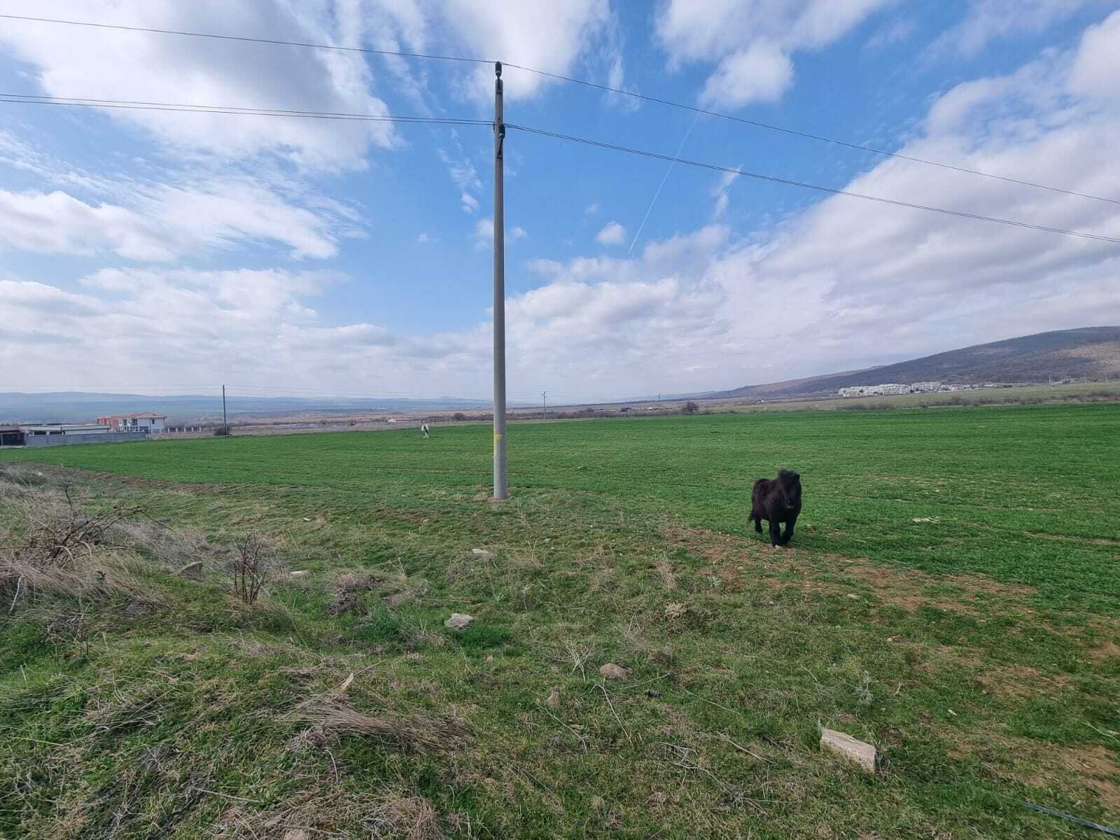 Kosharitsa: Парцел в Кошарица, България Kosharitsa: Парцел в Кошарица, България