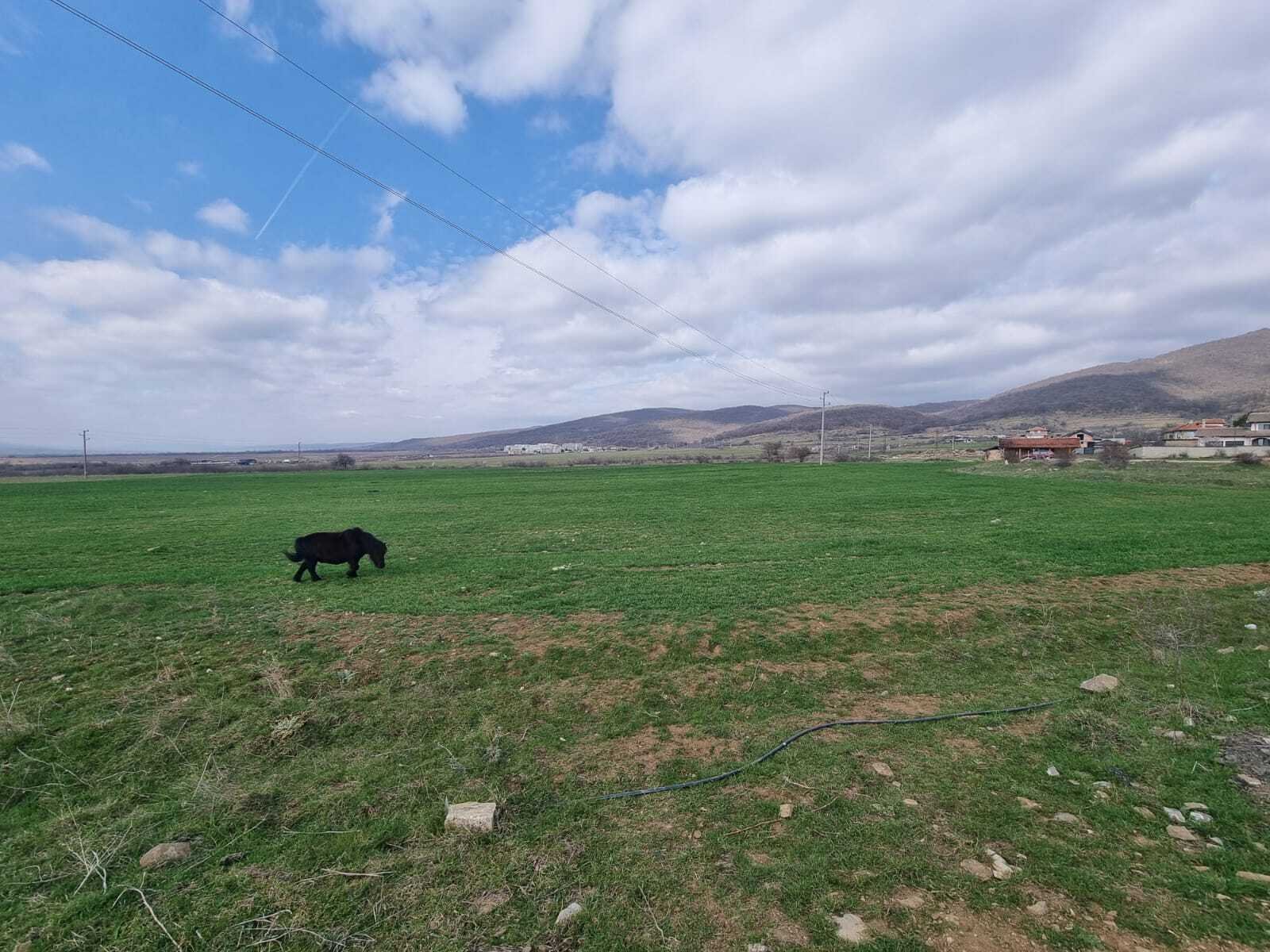 Парцел в Кошарица, България