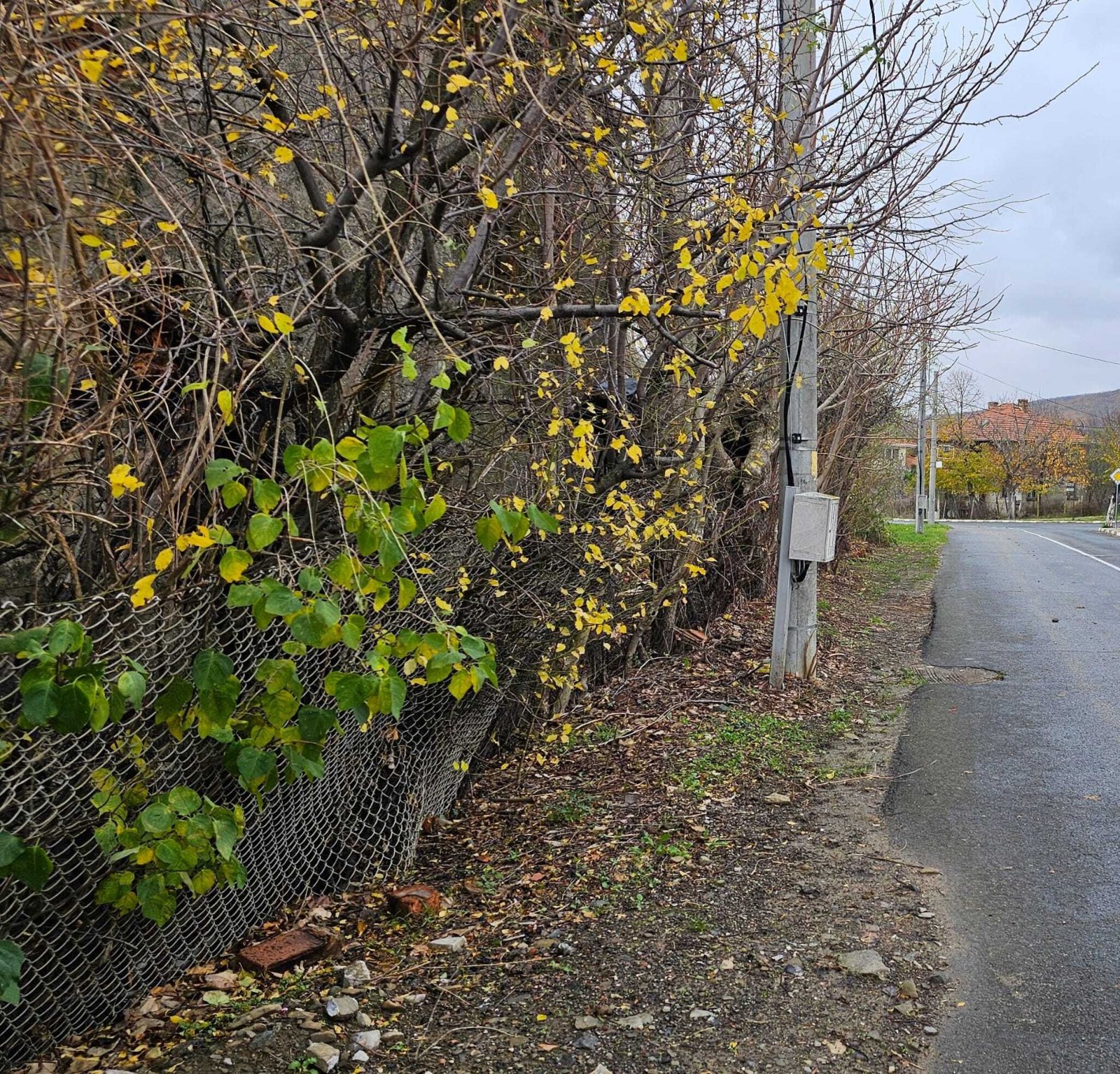 Kosharitsa: Парцел за строителство в Косарица, България Kosharitsa: Парцел за строителство в Косарица, България