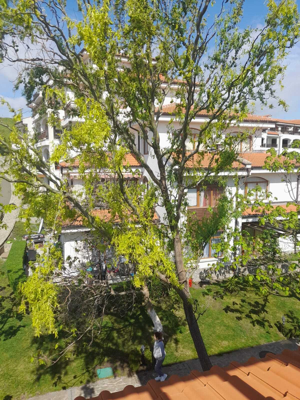 3 Zimmer Wohnung im Vineyards Komplex Nähe Aheloy Bulgarien