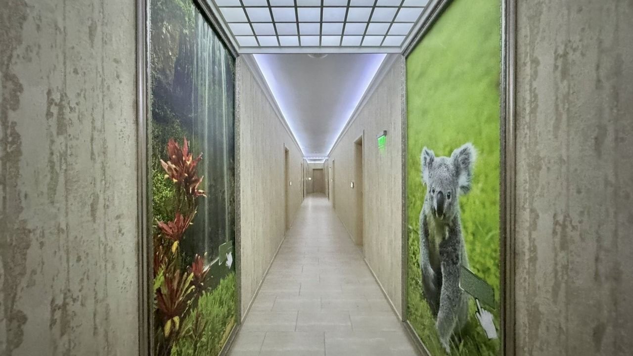 2-стаен апартамент в луксозния комплекс Harmony Suites 3 Jungle Sonnenstrand България