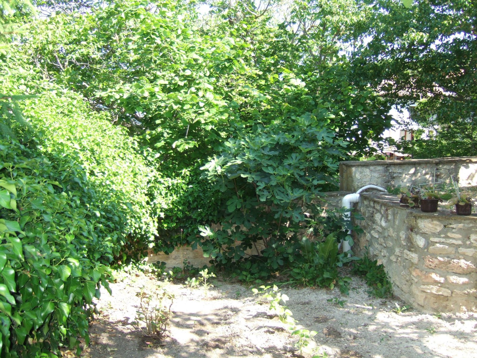 Villa mit Blick auf die Stadt Varna. Balchik BULGARIEN