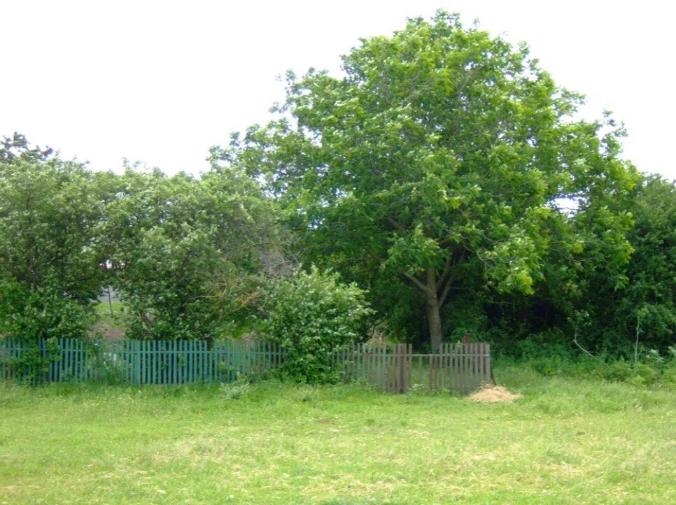 Grundstück im Dorf Sokolovo BULGARIEN