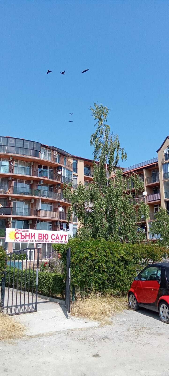 Двустаен апартамент Sunny View South, Sunny Beach, България