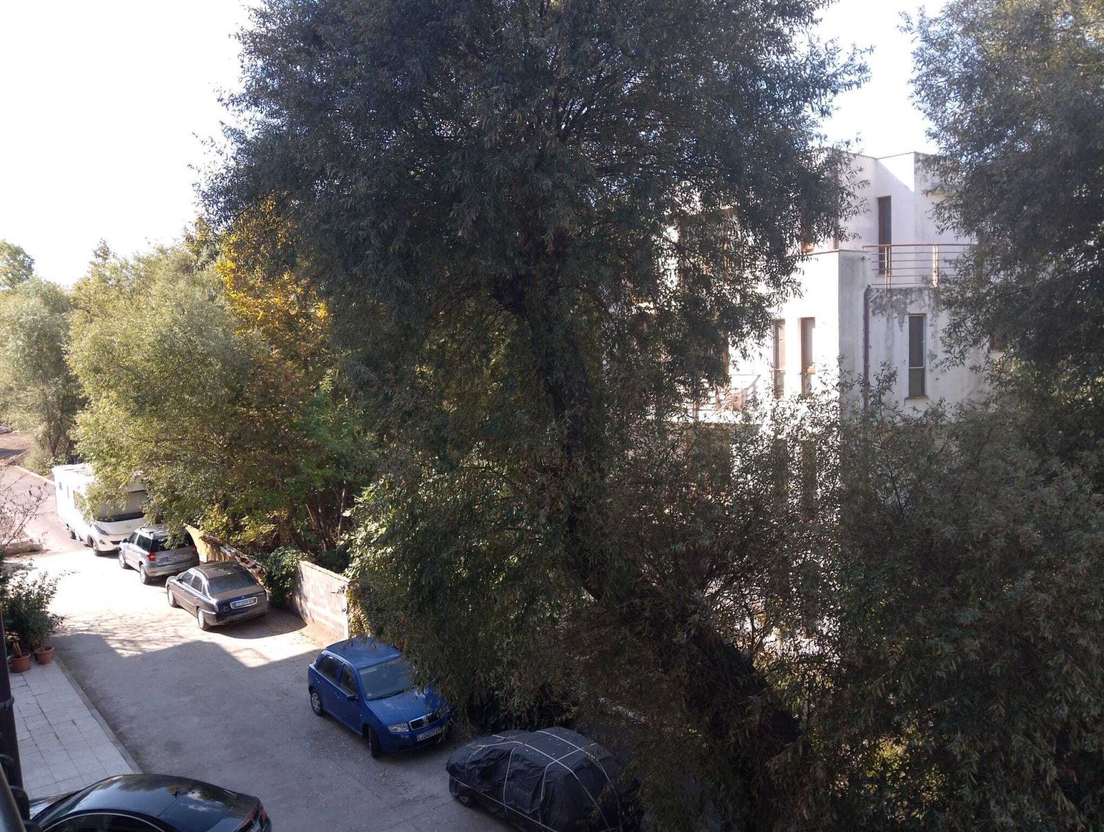 Студиа под наем за дългосрочно пребиваване на Слънчев бряг в България