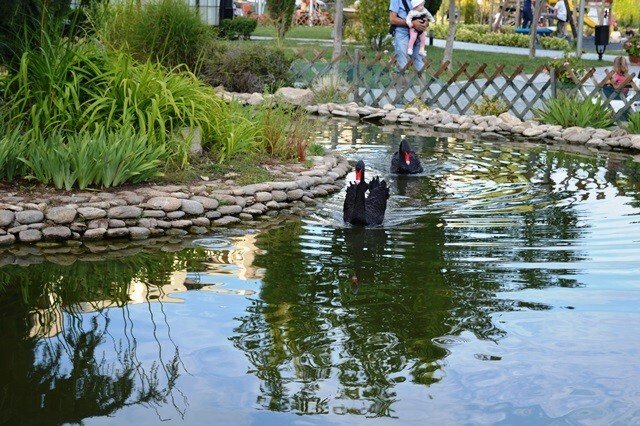 1+1 Апартамент в Cascadas Family Resort-комплекс в близост до Слънчевия връх, България