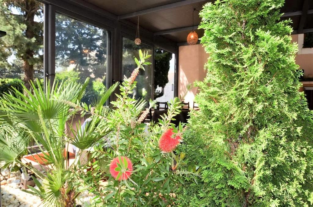 Charmantes Hotel in der malerischen Stadt Kotor, Dobrota, Montenegro