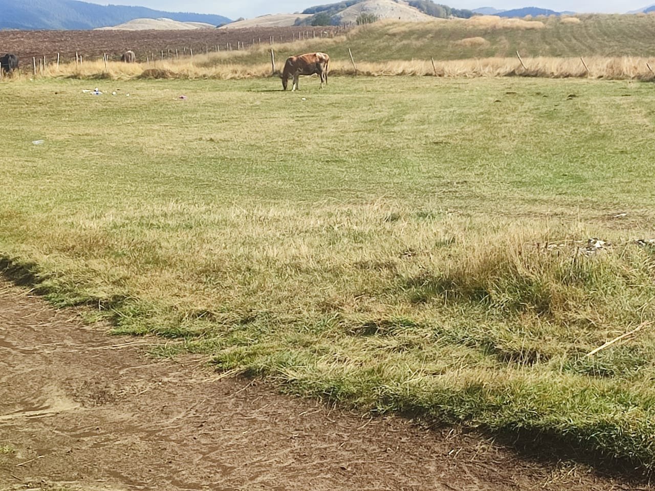 Attraktives Baugrundstück für ein Bergresort, Natur und Investitionspotenzial Žabljak, Cetinje
