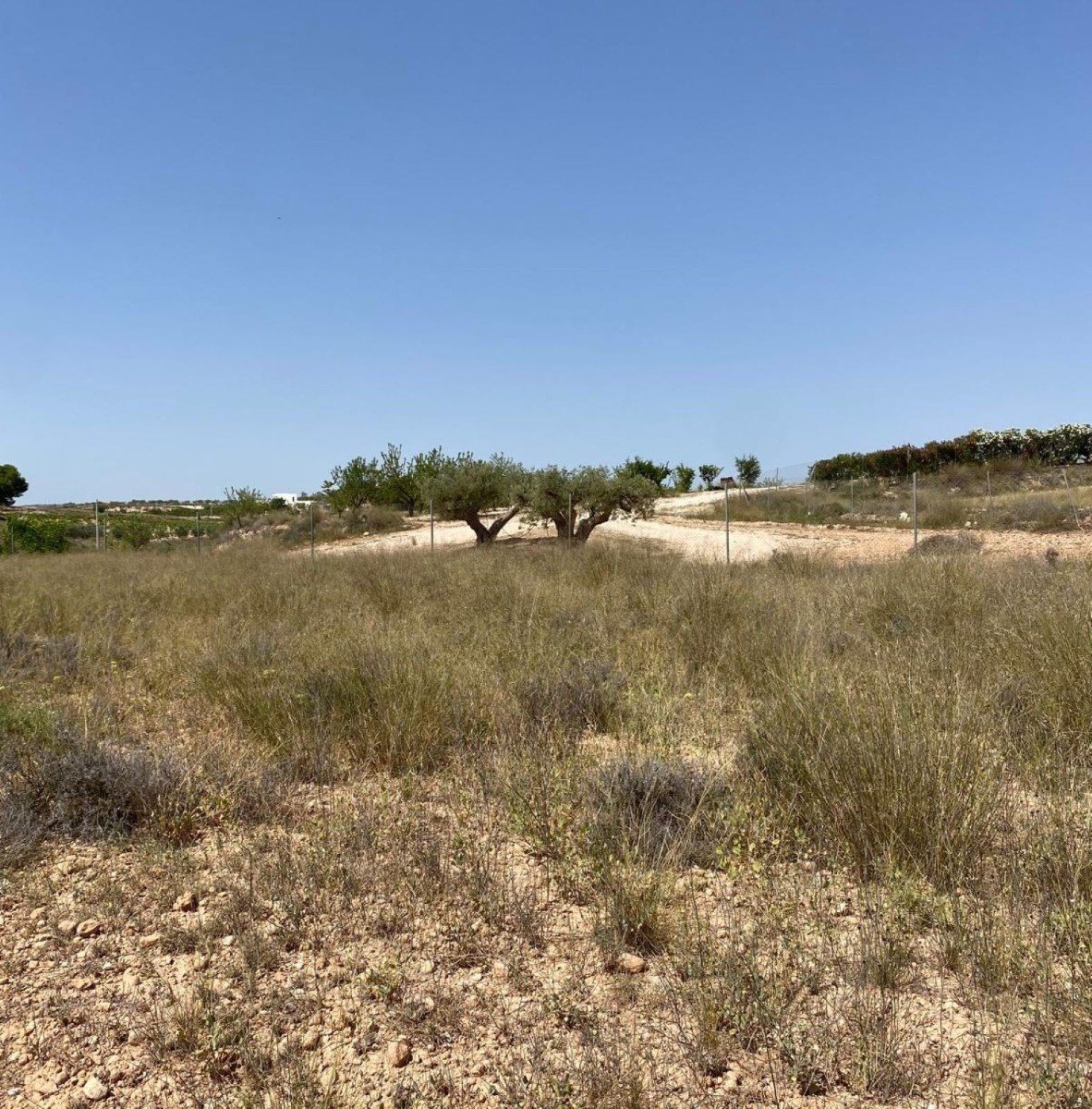 Exklusives Haus mit privatem Pool inmitten der Natur – moderne Villa in der Nähe von Pinoso, Alicante