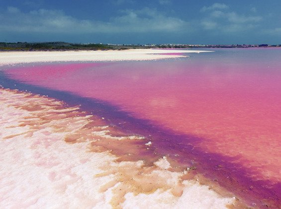 Modernes Apartment mit privatem Solarium, nur wenige Minuten vom Meer entfernt und in der Nähe von renommierten Golfplätzen.