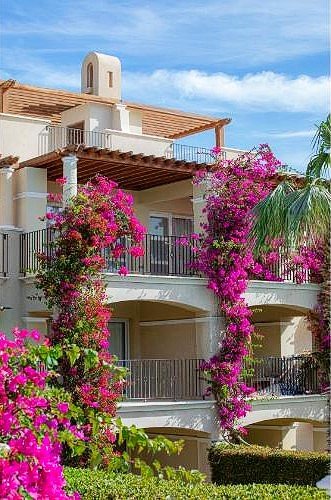 Dreizimmerwohnung mit Garten in Veranda Sahl Hasheesh – eine Oase der Ruhe nur wenige Schritte vom Meer entfernt