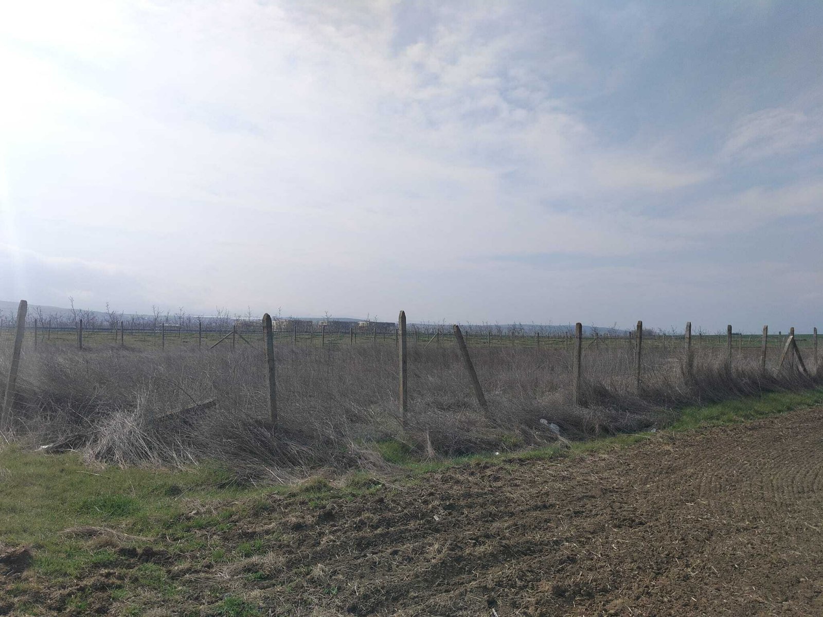 Grundstück neben der Anlage Sunny Day 5 Tankovo Bulgarien