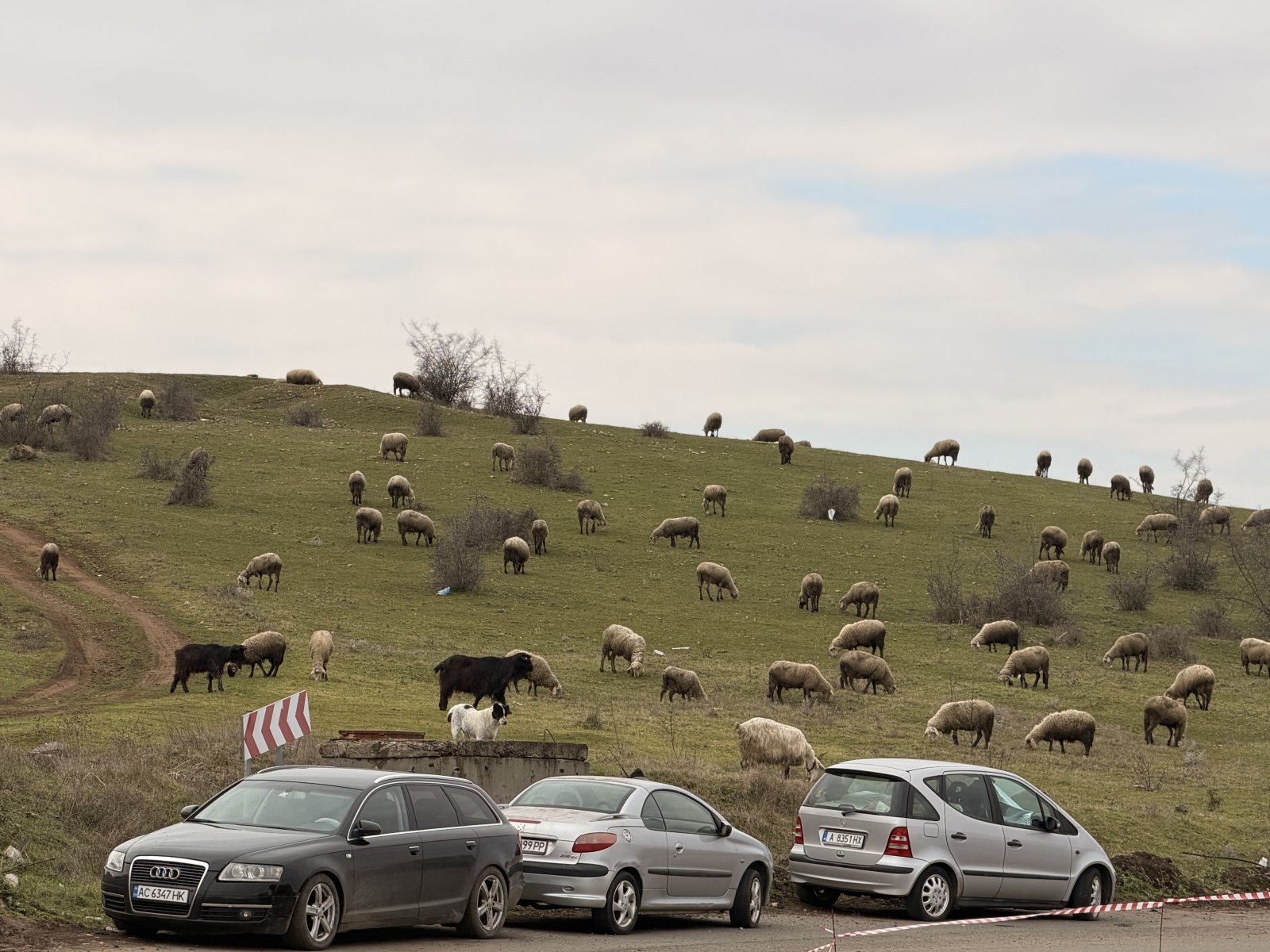 Studio im Sunny Day 6 Tankovo Bulgarien