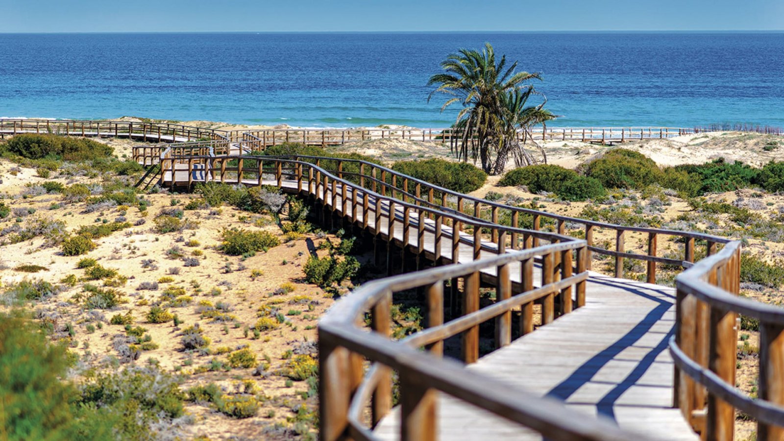 Geräumige Apartments mit Terrasse direkt am Golfplatz, Monforte del Cid