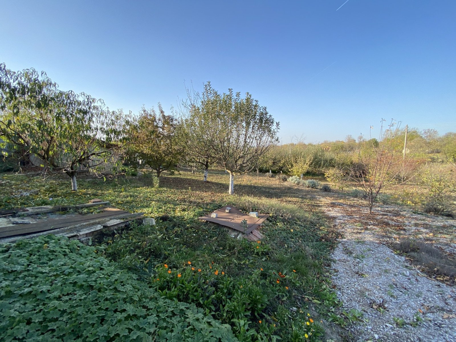 Haus mit großem Grundstück im Dorf Orlova Magila Region Dobrich