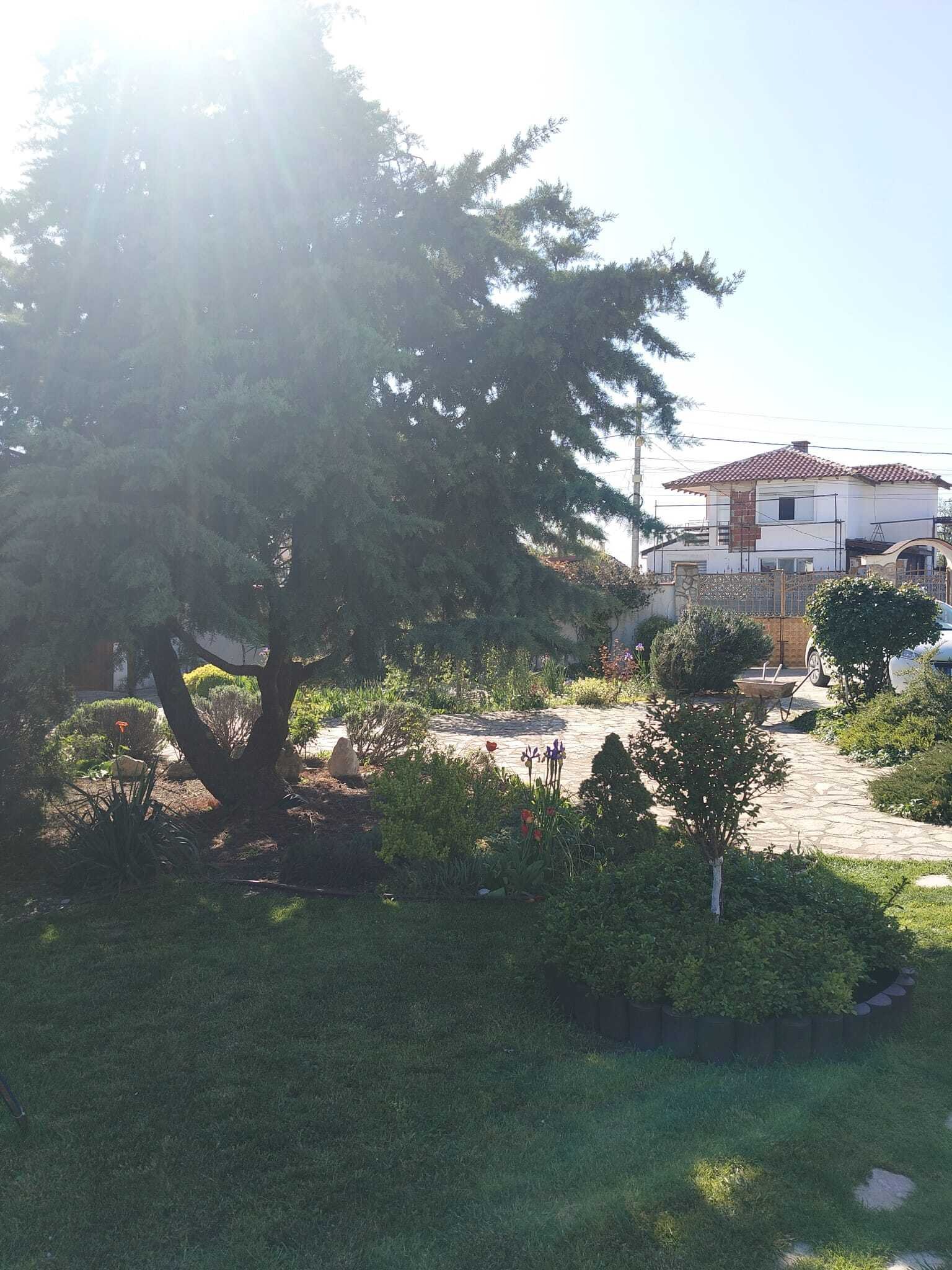 Schönes Haus mit Garten und Sommerküche in Orizare Region Burgas Bulgarien