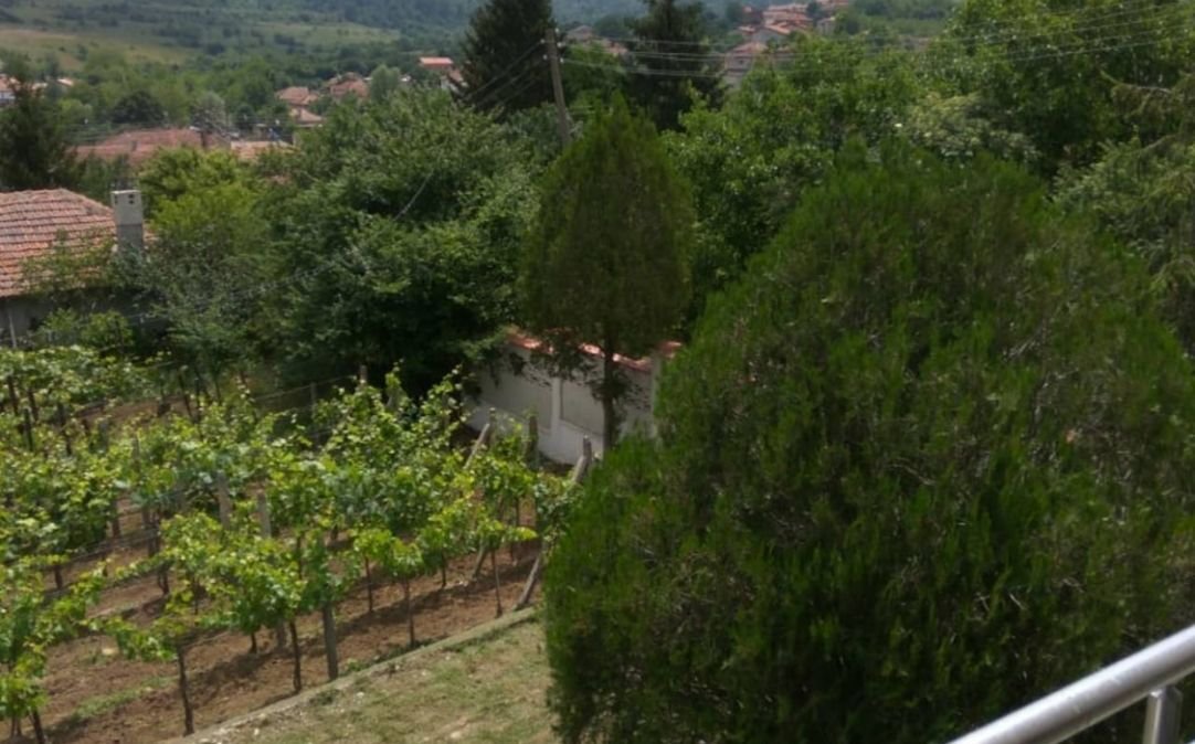 6Großzügiges Haus (370 m²) auf einem Grundstück mit eigenen Weinbergen im Dorf Detelina, Region Varna, Bulgarien zu verkaufen