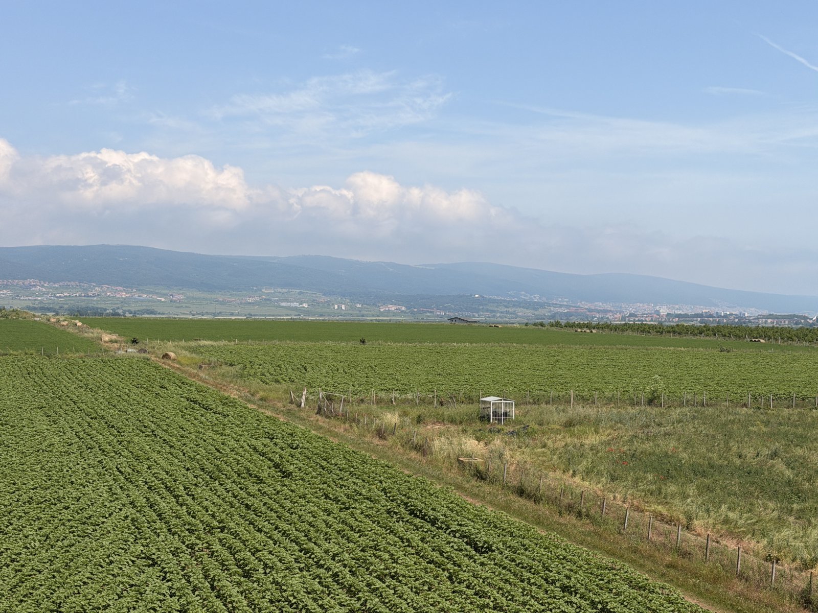 Studio im Sunny Day 5 Tankovo Bulgarien