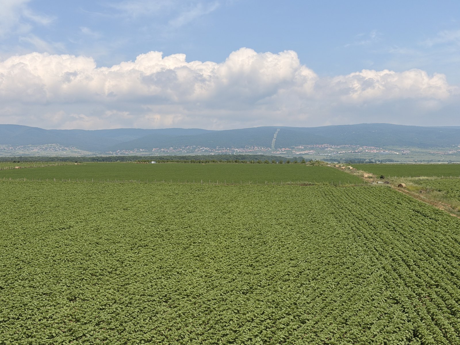 Studio im Sunny Day 5 Tankovo Bulgarien