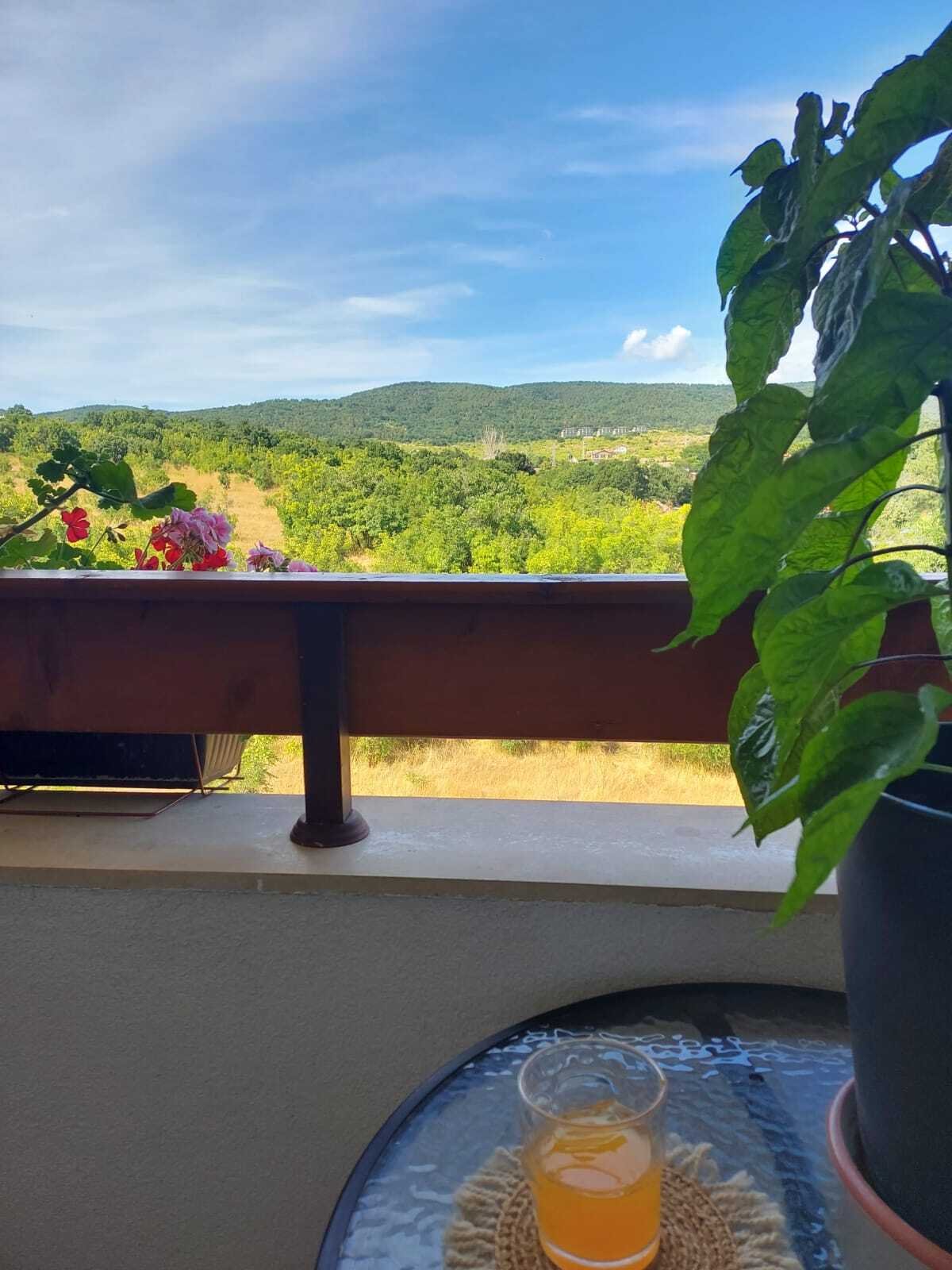 2 Zimmer Wohnung im Komplex Gardenia Hills Kosharitsa Bulgarien