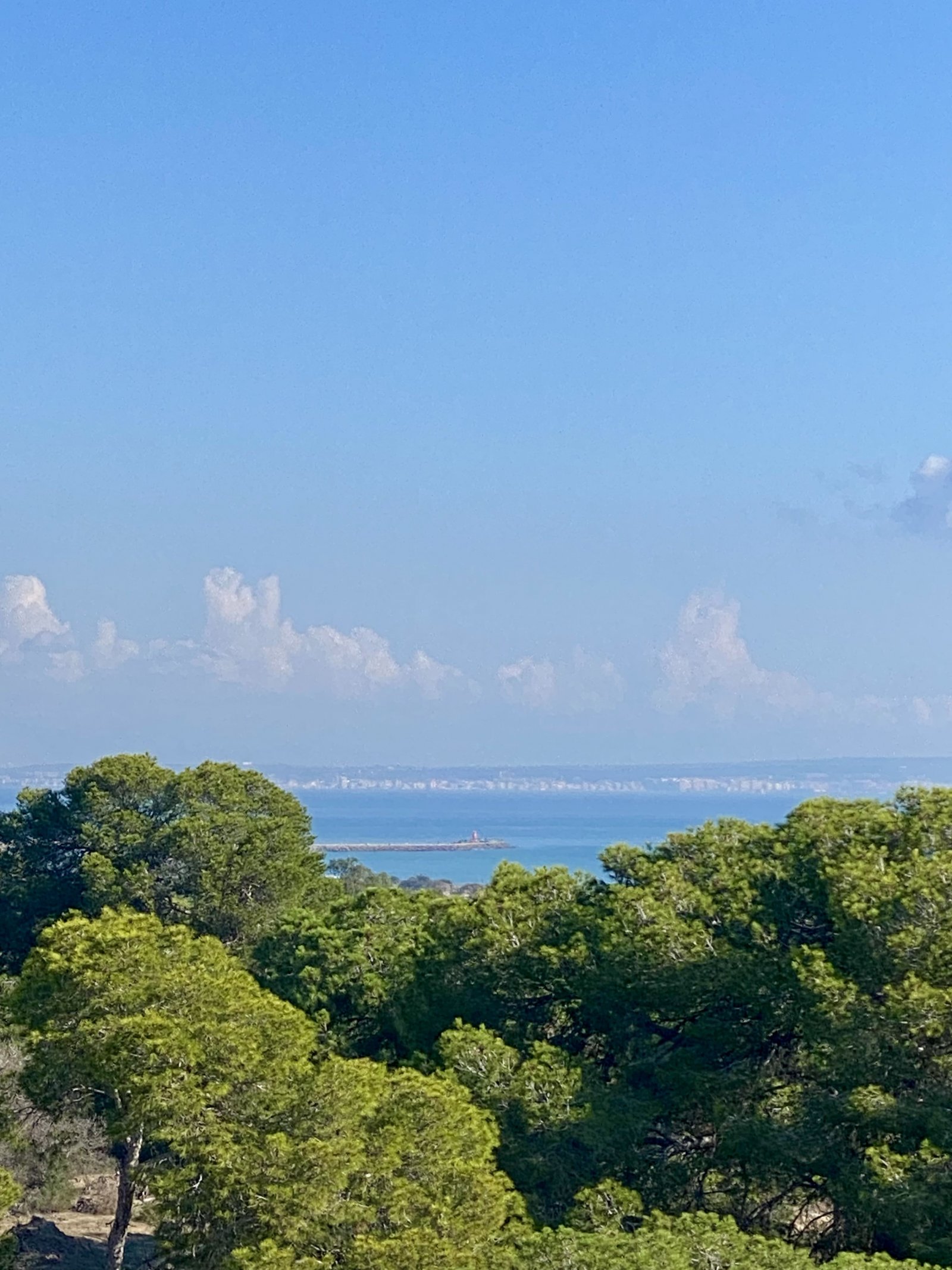 Moderne Apartments mit Meerblick, 700 m vom Strand entfernt – Guardamar del Segura