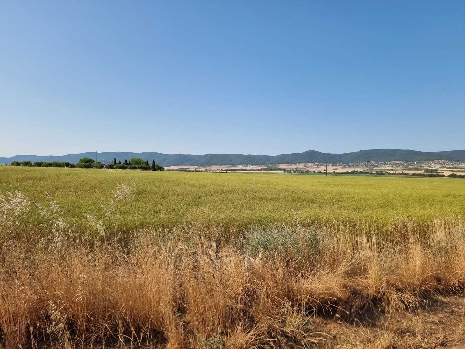Grundstück im Dorf Tankovo Region Burgas Bulgarien