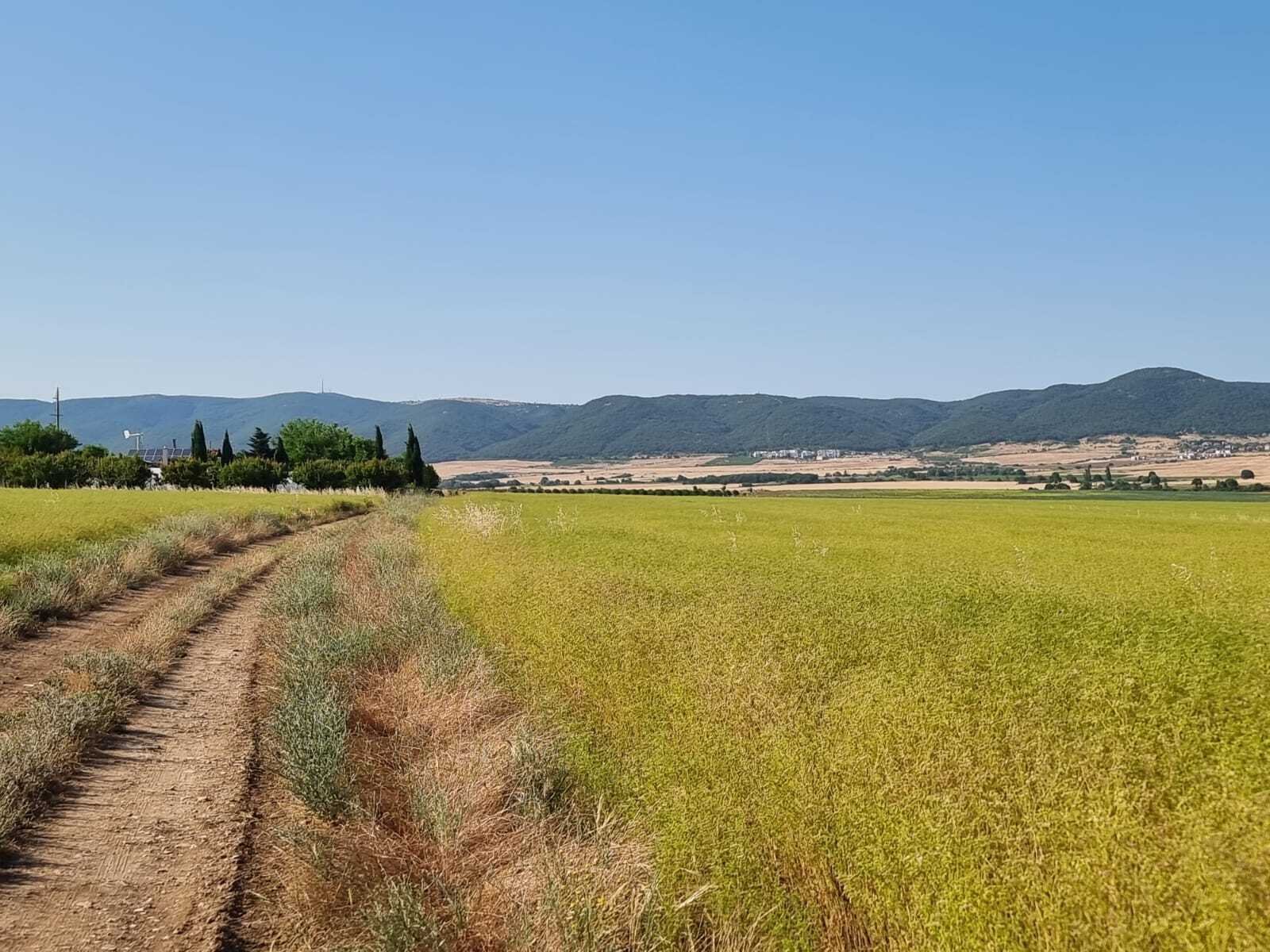 Grundstück im Dorf Tankovo Region Burgas Bulgarien