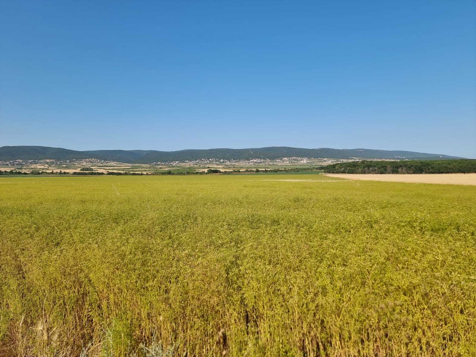 Grundstück im Dorf Tankovo Region Burgas Bulgarien