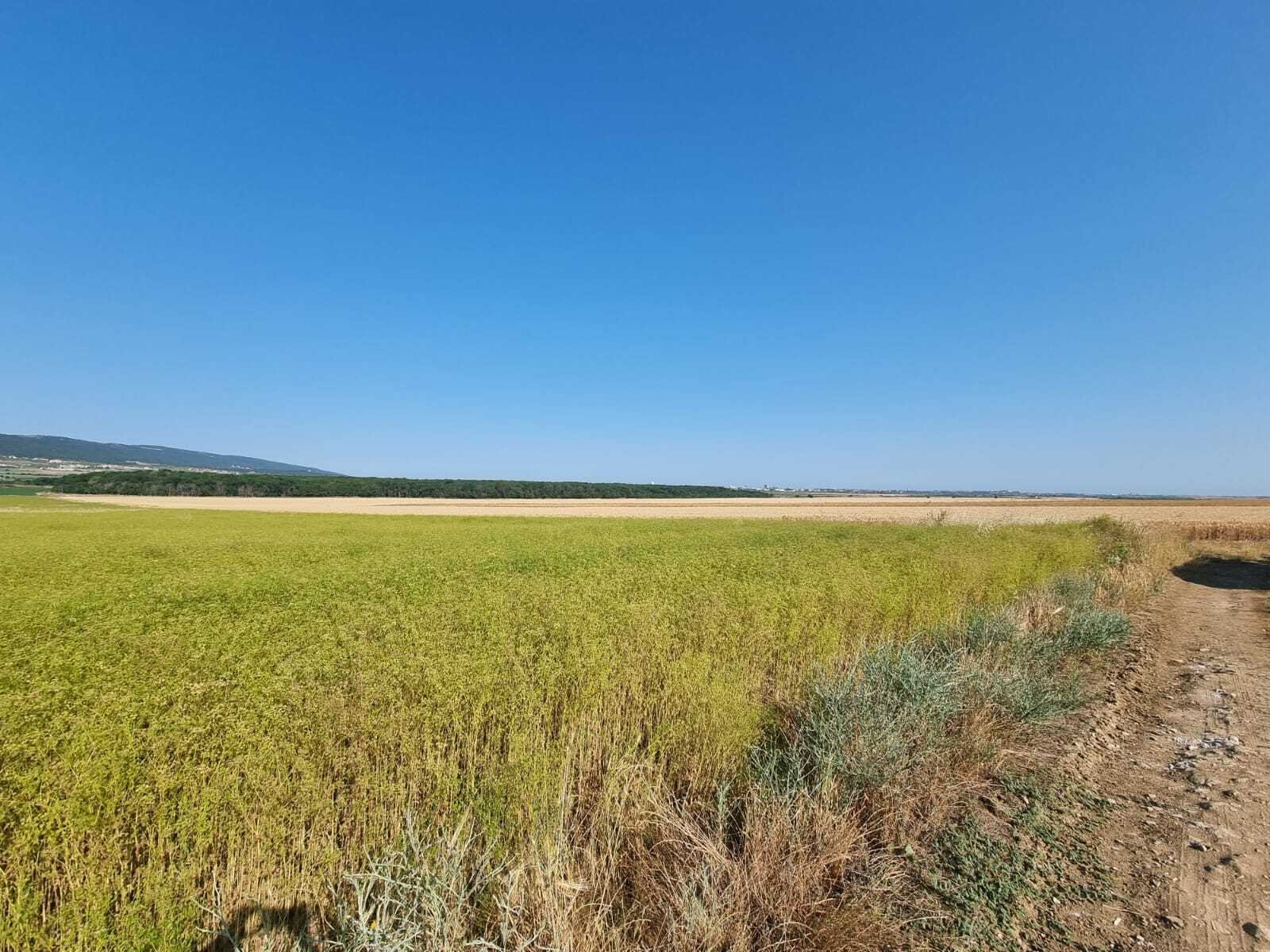 Grundstück im Dorf Tankovo Region Burgas Bulgarien