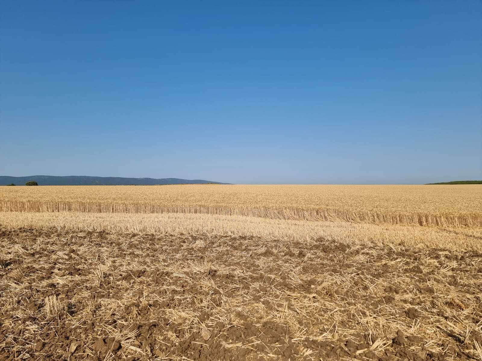 Tankovo: Grundstück in der Nähe von  Tankovo Region Burgas Bulgarien 