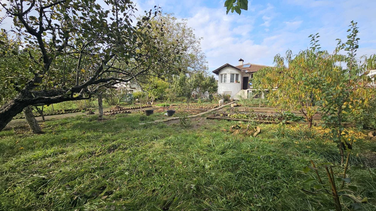 Haus im Dorf Drachevo Region Burgas Bulgarien