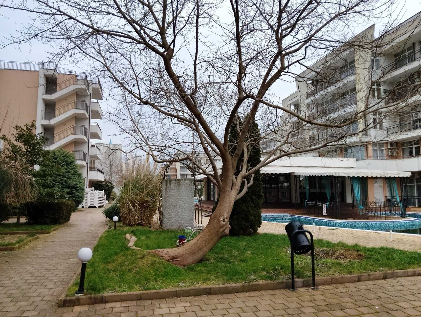 Modern Möbliertes Studio mit Poolblick im Grand Kamelia Sonnenstrand