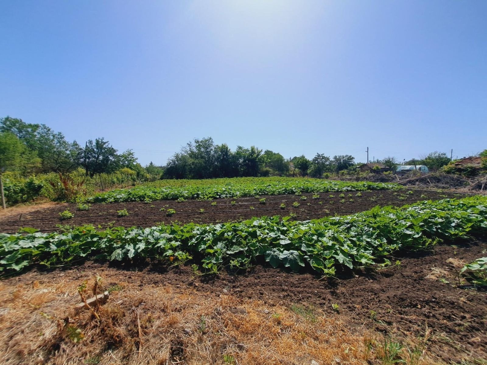 16370 176008409168e8c07b5e115 w1920