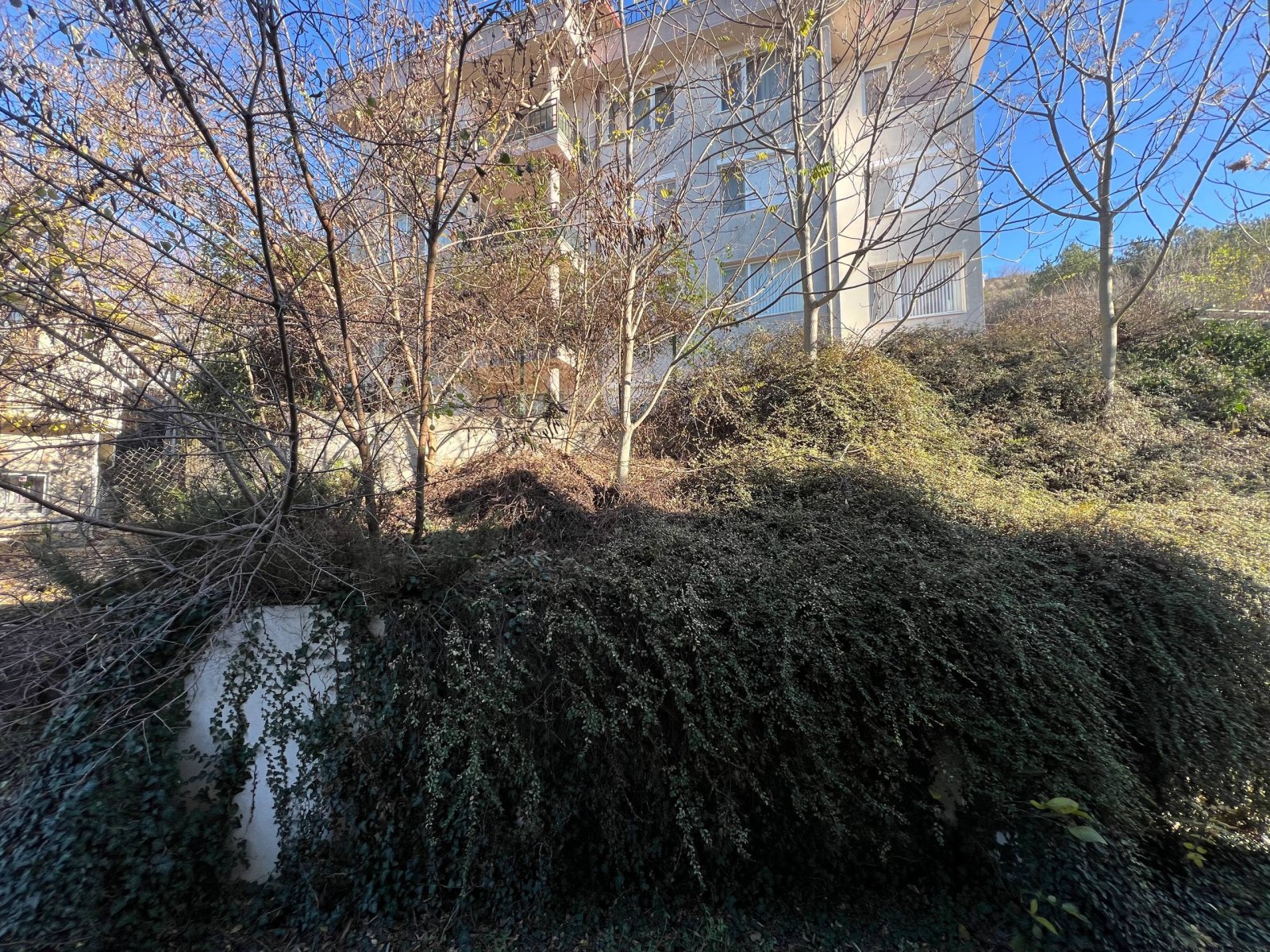IMG 7873.JPG