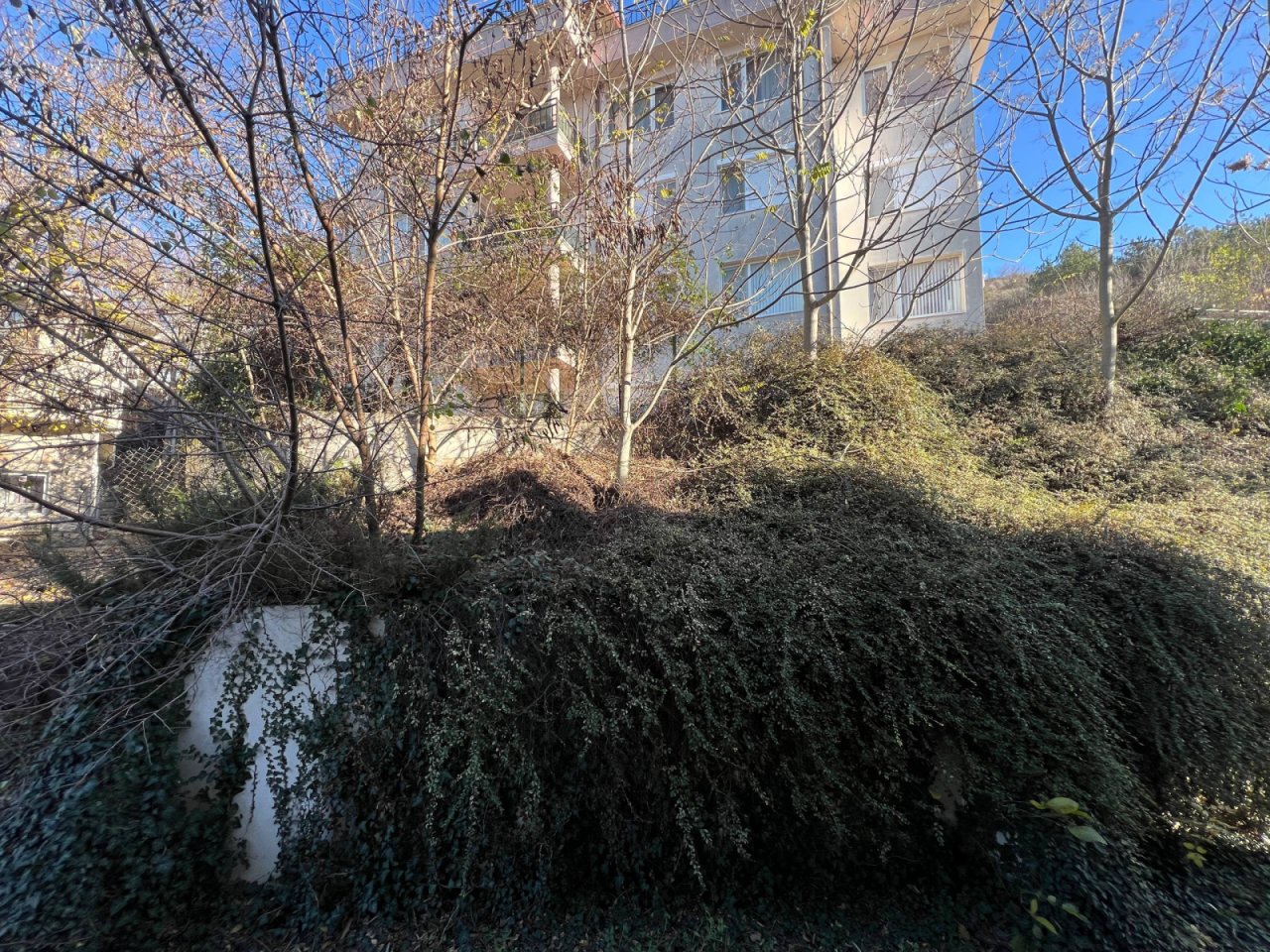 IMG 7873.JPG