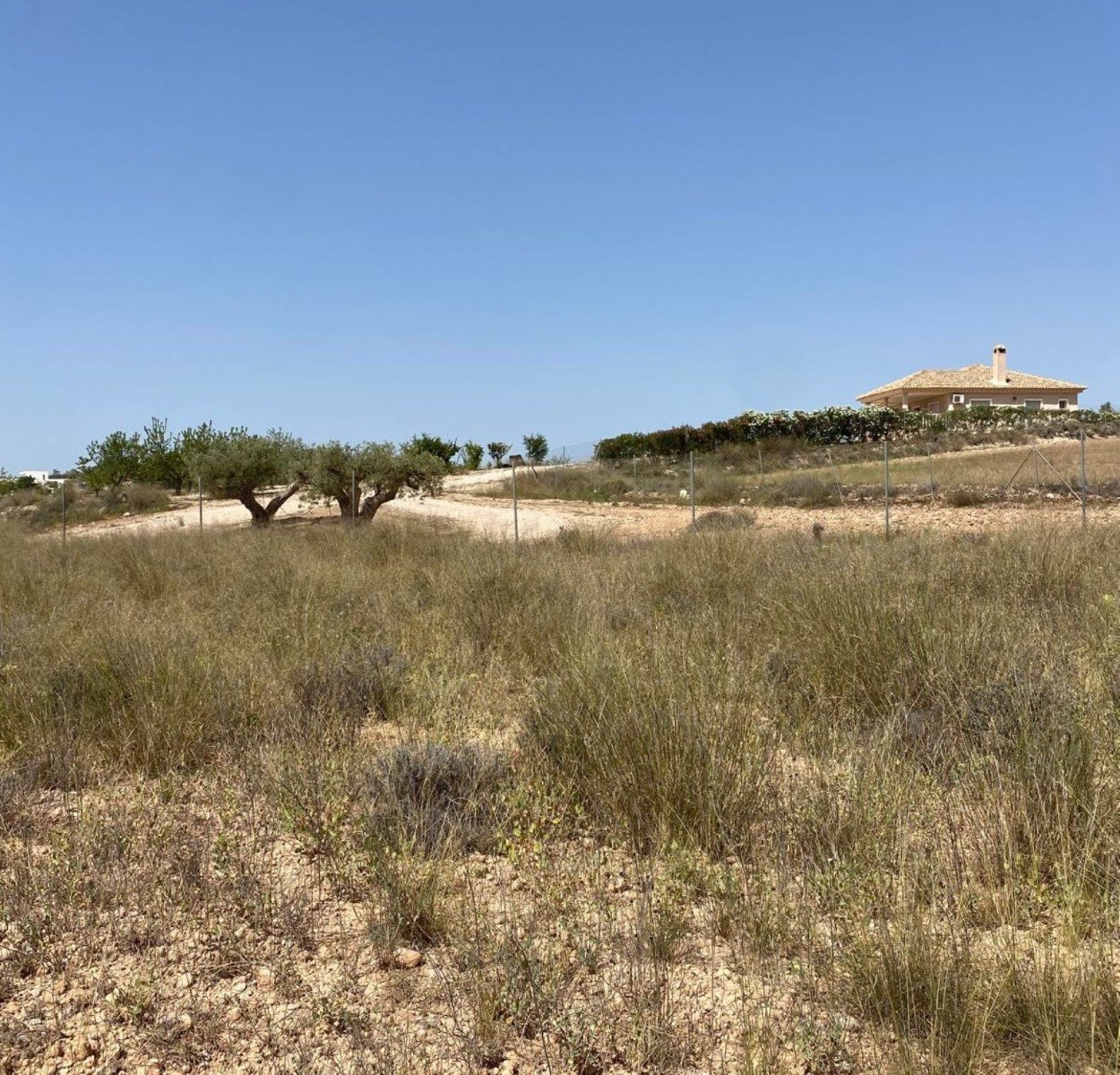 Exclusive house with private pool in the heart of nature - modern villa near the town of Pinoso, Alicante