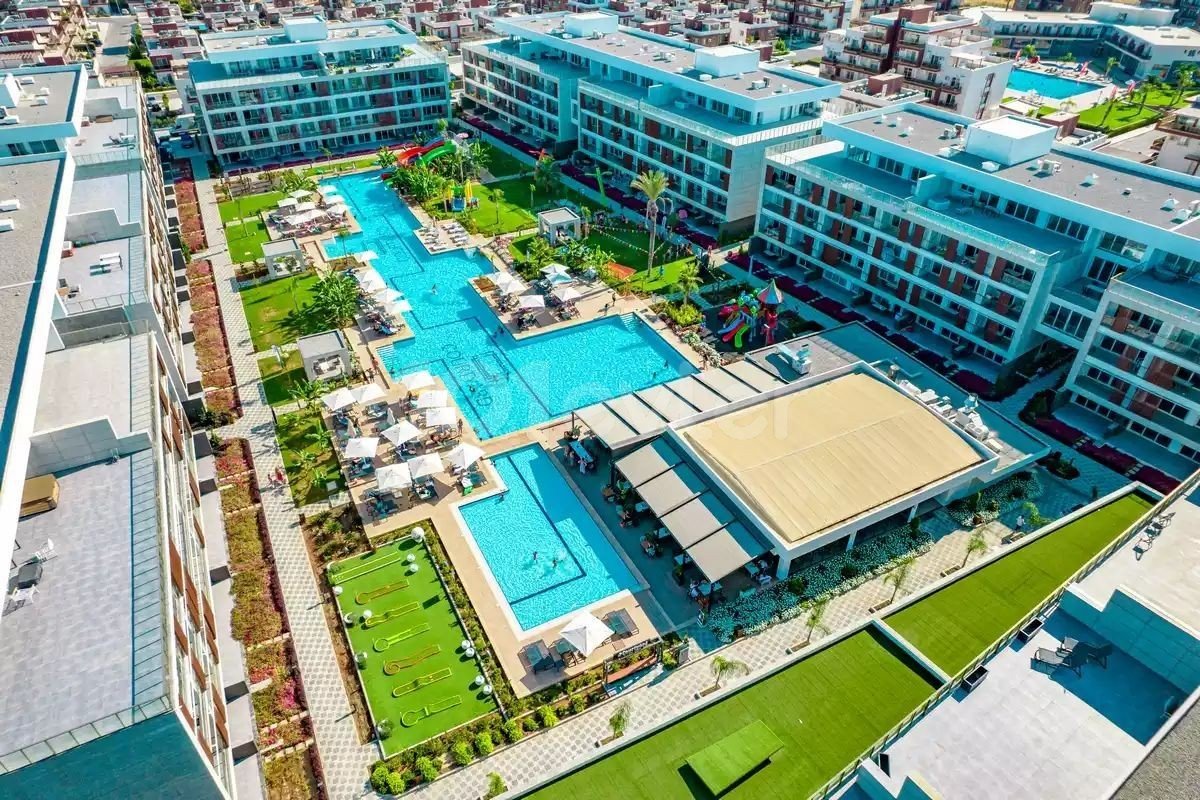 1+1 apartment