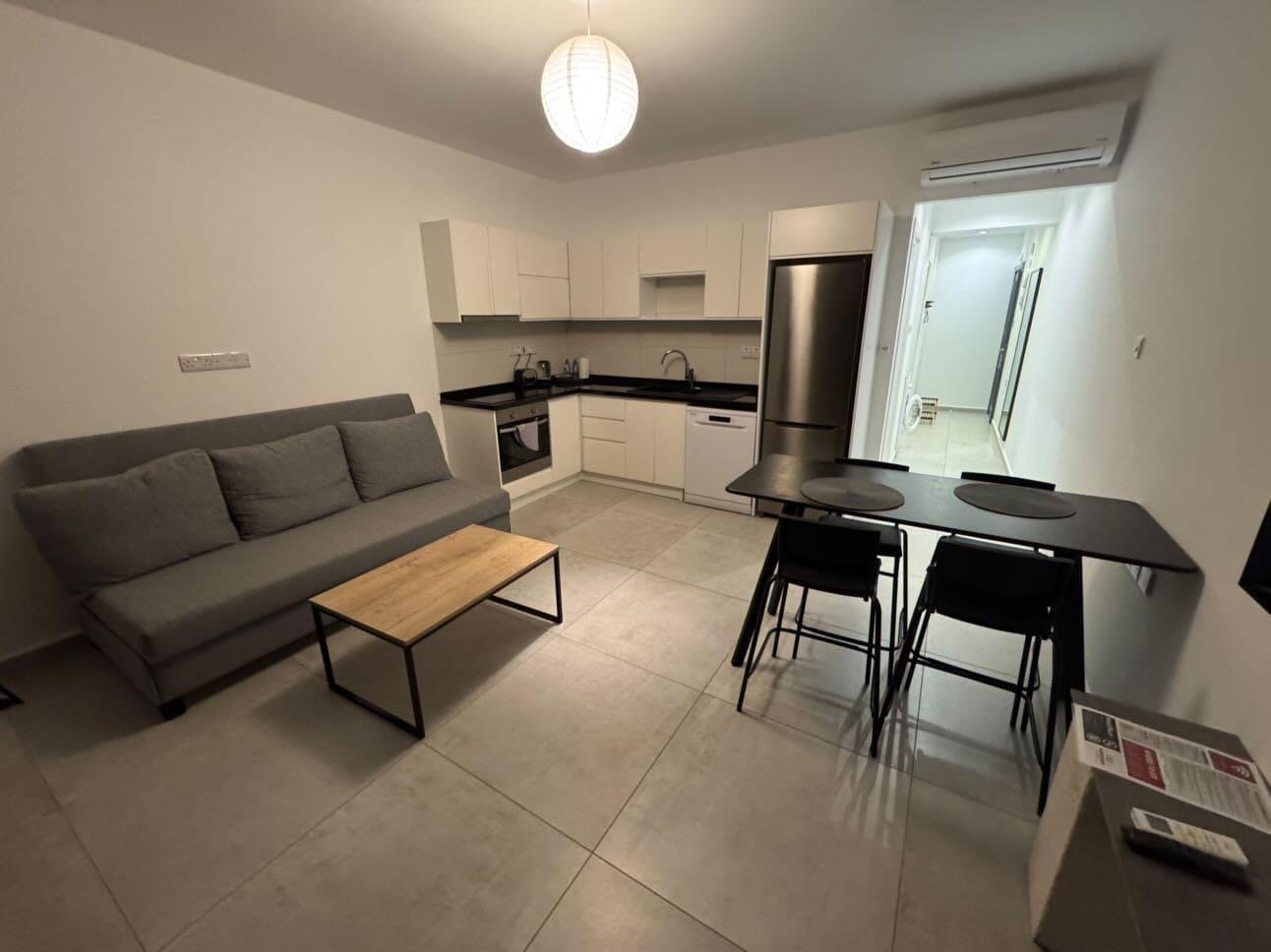 1+1 apartments