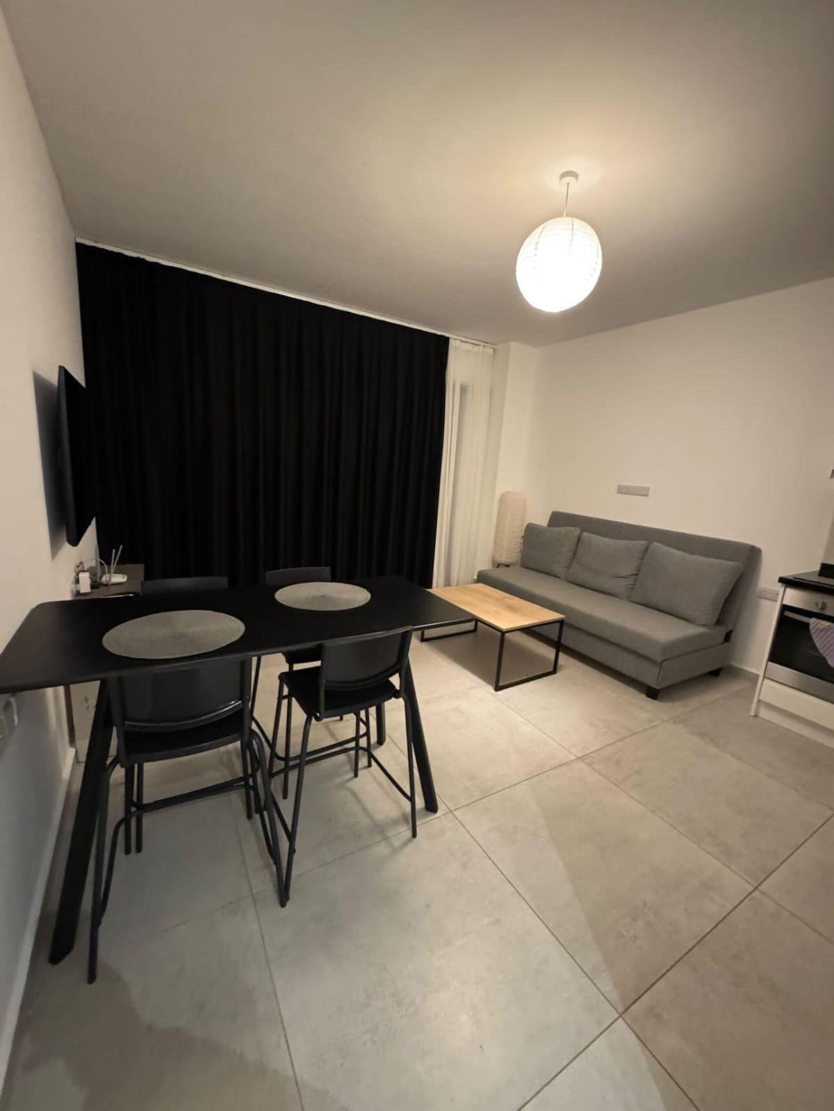 1+1 apartments