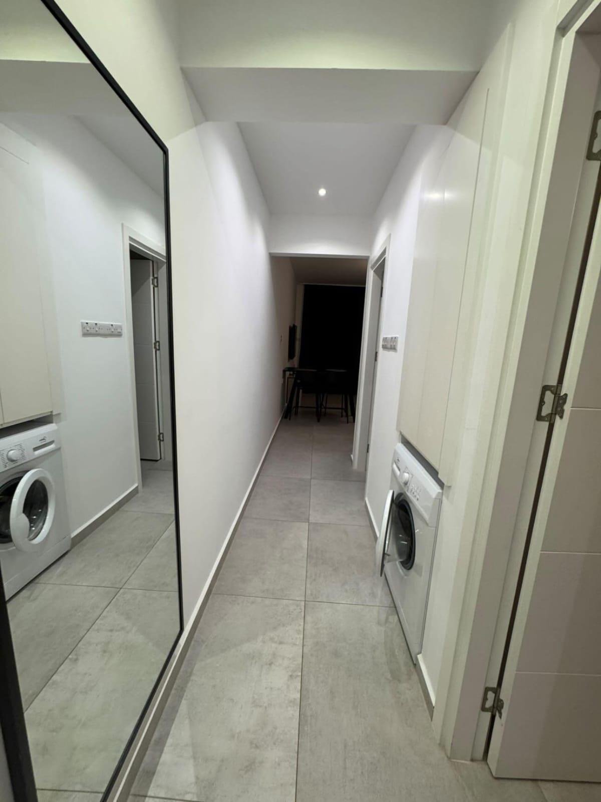 1+1 apartments