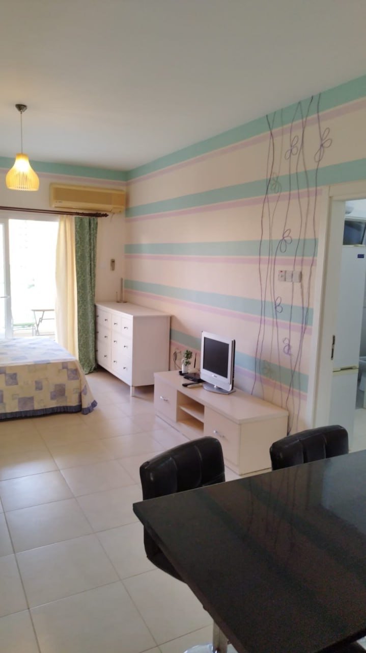 1+1 apartments