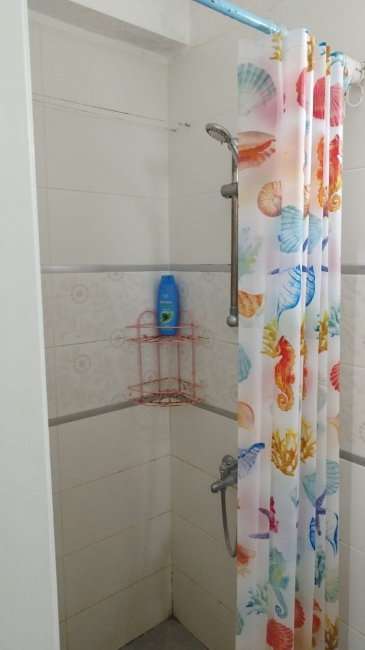 1+1 apartments