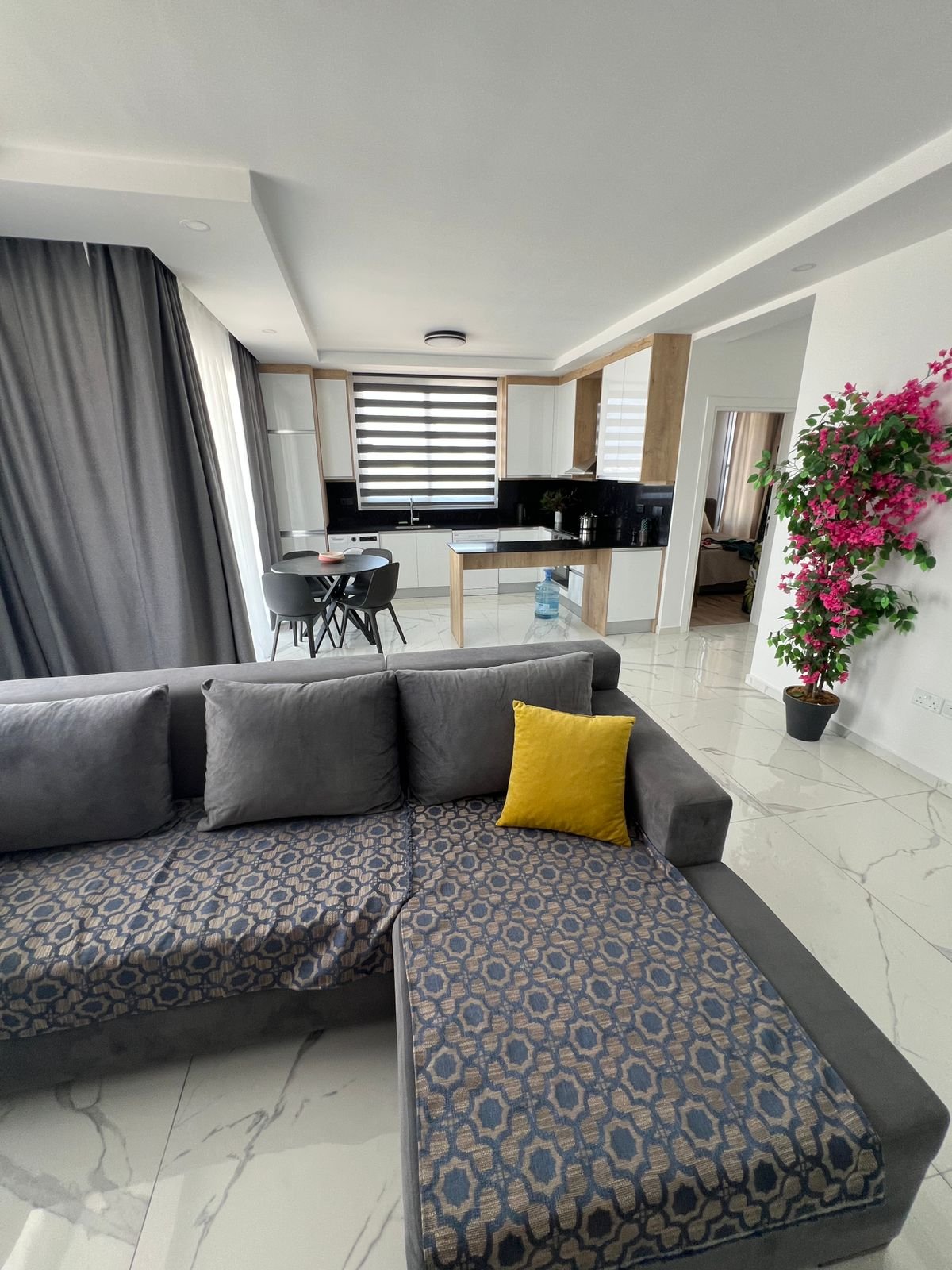 2+1 penthouse
