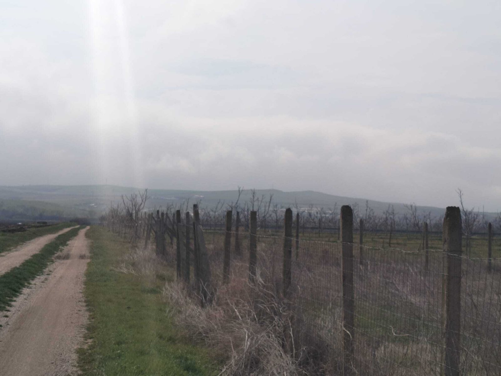 Plot of land next to the Sunny Day 5 complex in Tankovo, Bulgaria