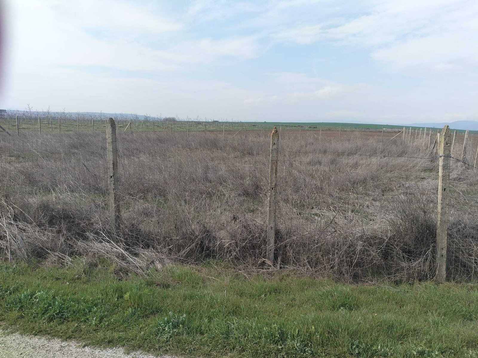 Plot of land next to the Sunny Day 5 complex in Tankovo, Bulgaria