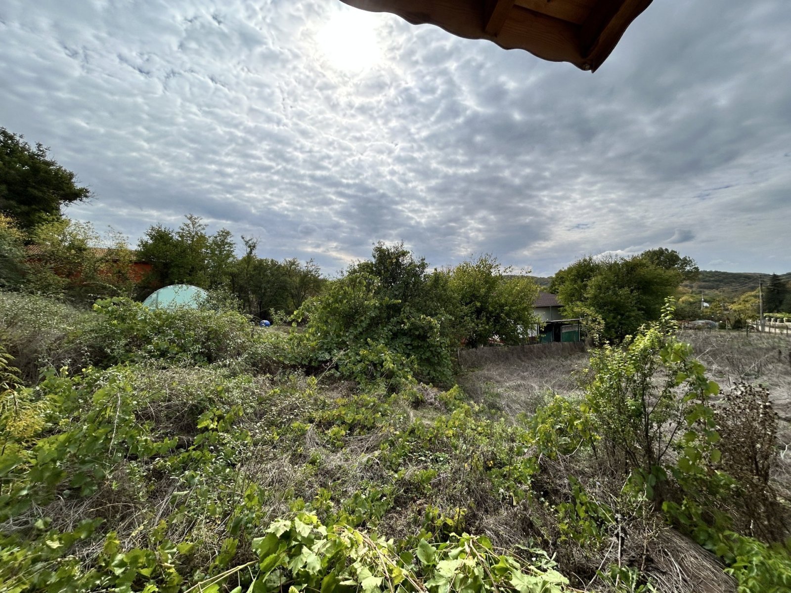 Old partially renovated house with a large plot of land in Odrintsi, Dobrich region, Bulgaria