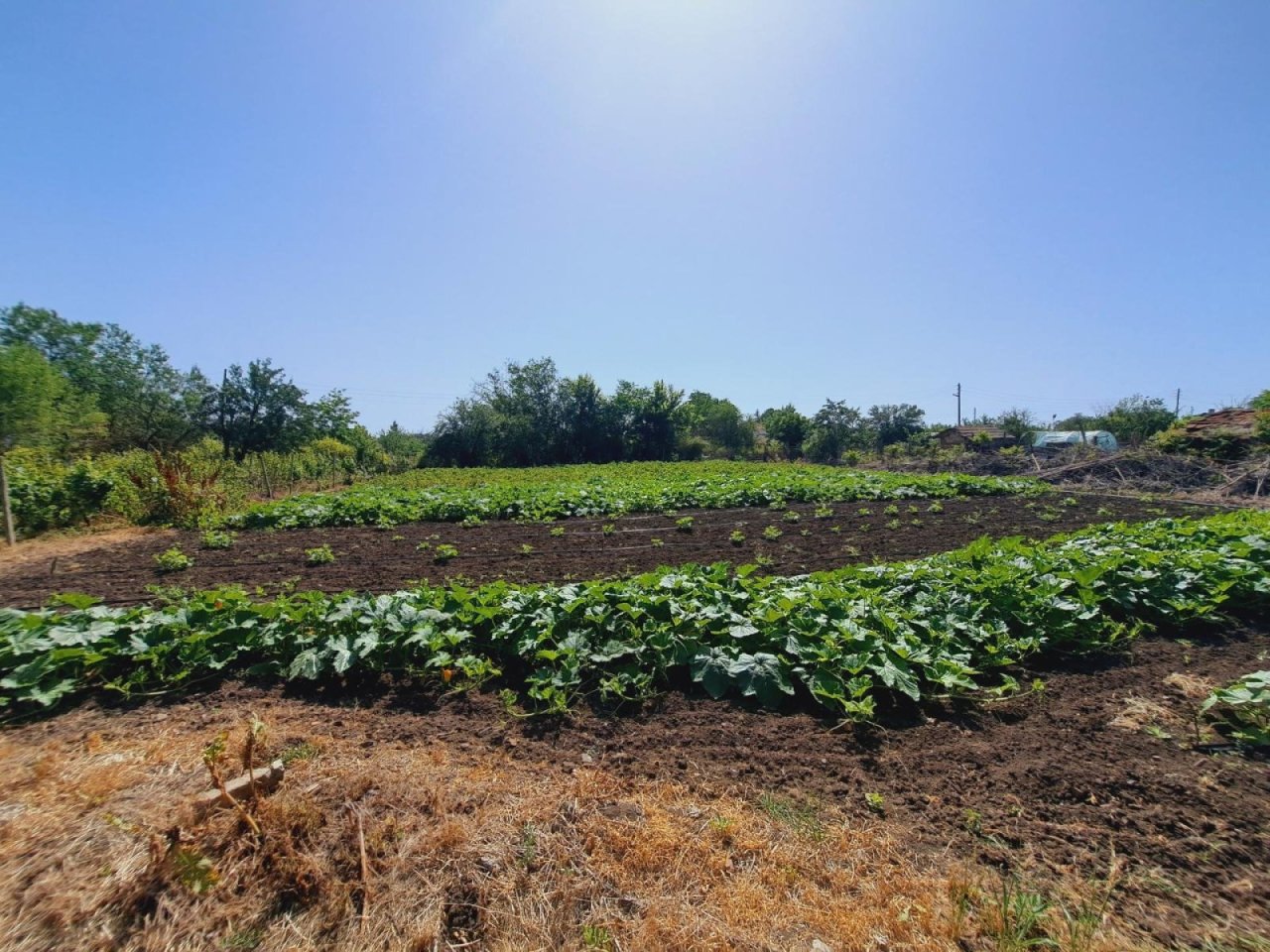 16370 176008409168e8c07b5e115 w1920